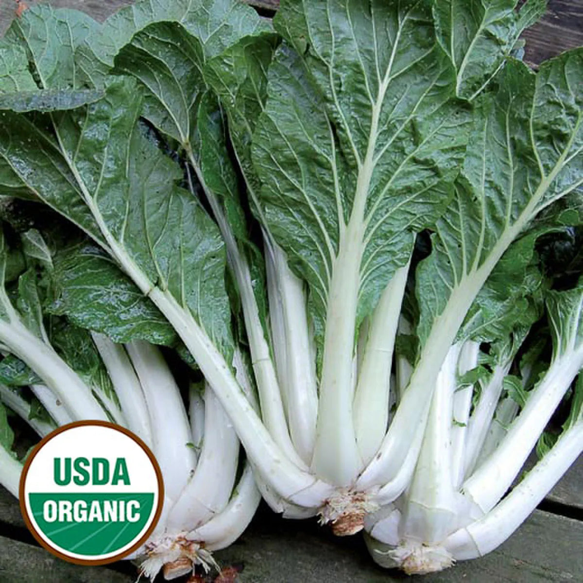 Bok Choy - Prize Choi