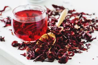 Cranberry Hibiscus (2 sizes)