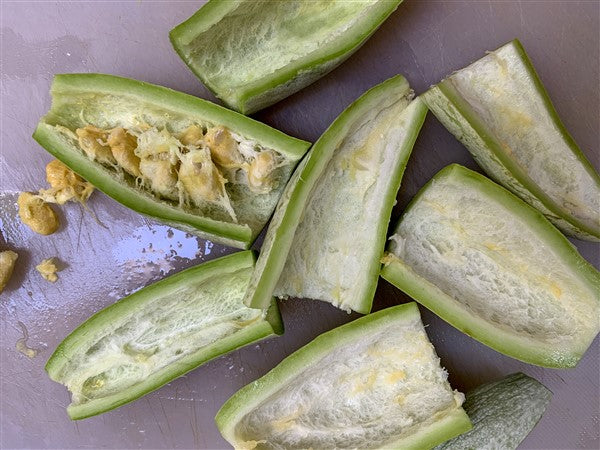 Gourds - Snake Gourd (4" pot)