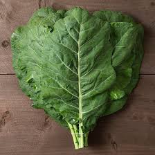 Collard - Champion