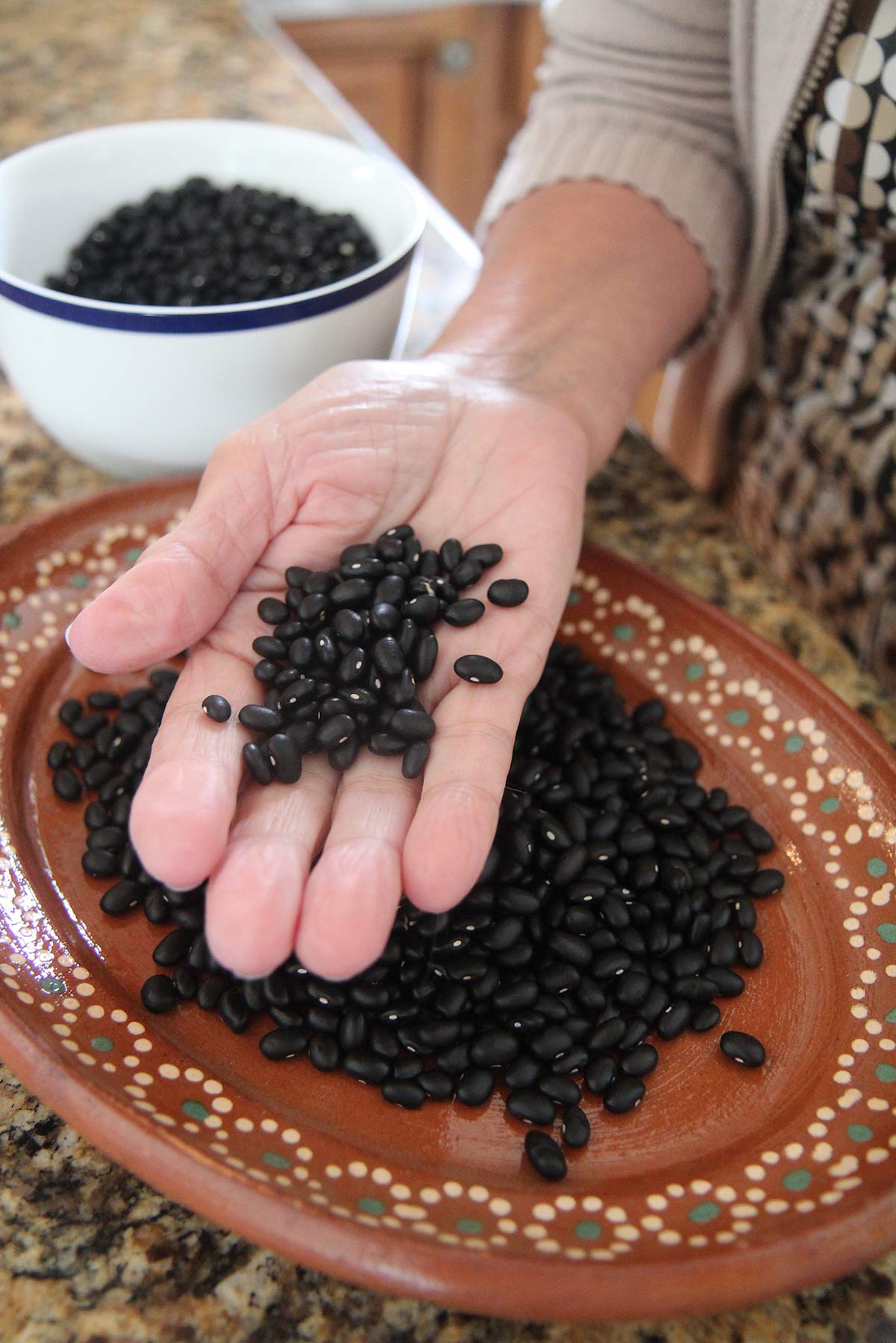 Beans - Puerto Rican Black Bean (Co Pea) (4" pot)