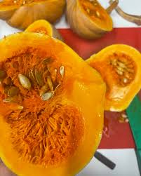 Squash - Seminole Pumpkin (4" Pot)
