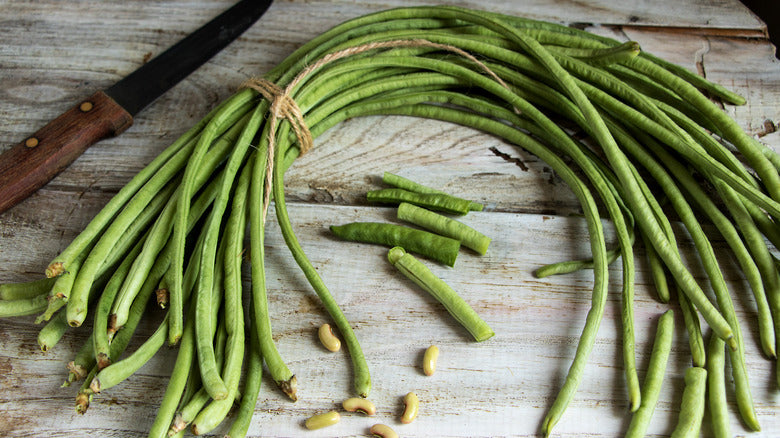 Beans, Yard Long - Guyana (4" Pot)