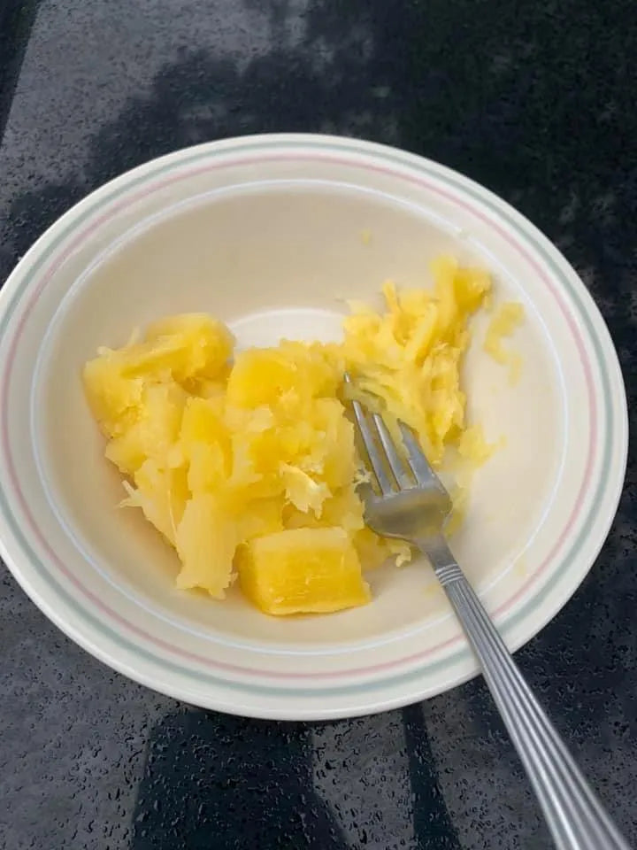 Cassava (Yuca)- Shan's Yellow (1 Gal Pot)