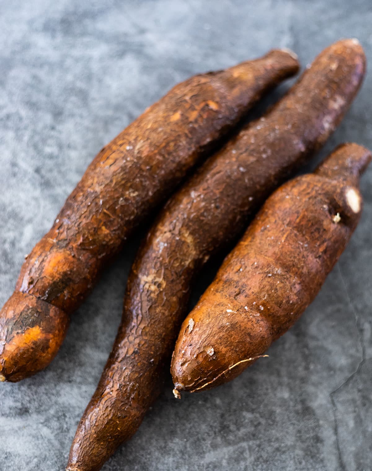 Cassava (Yuca)- Shan's Yellow (1 Gal Pot)