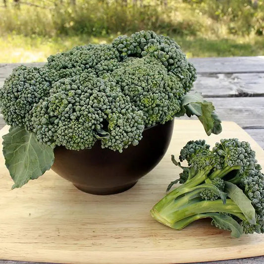 Broccoli - Waltham 29