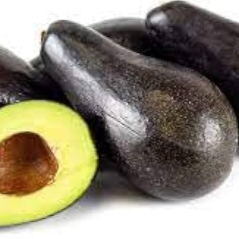 Avocado - Stewart