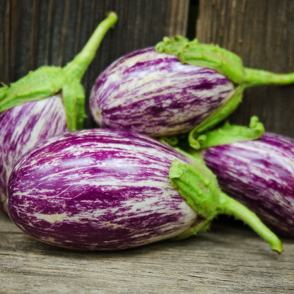 Eggplant - Listada De Gandia(4" pot)