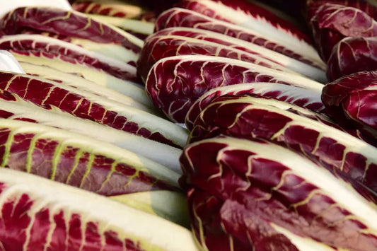 Radicchio Maurik