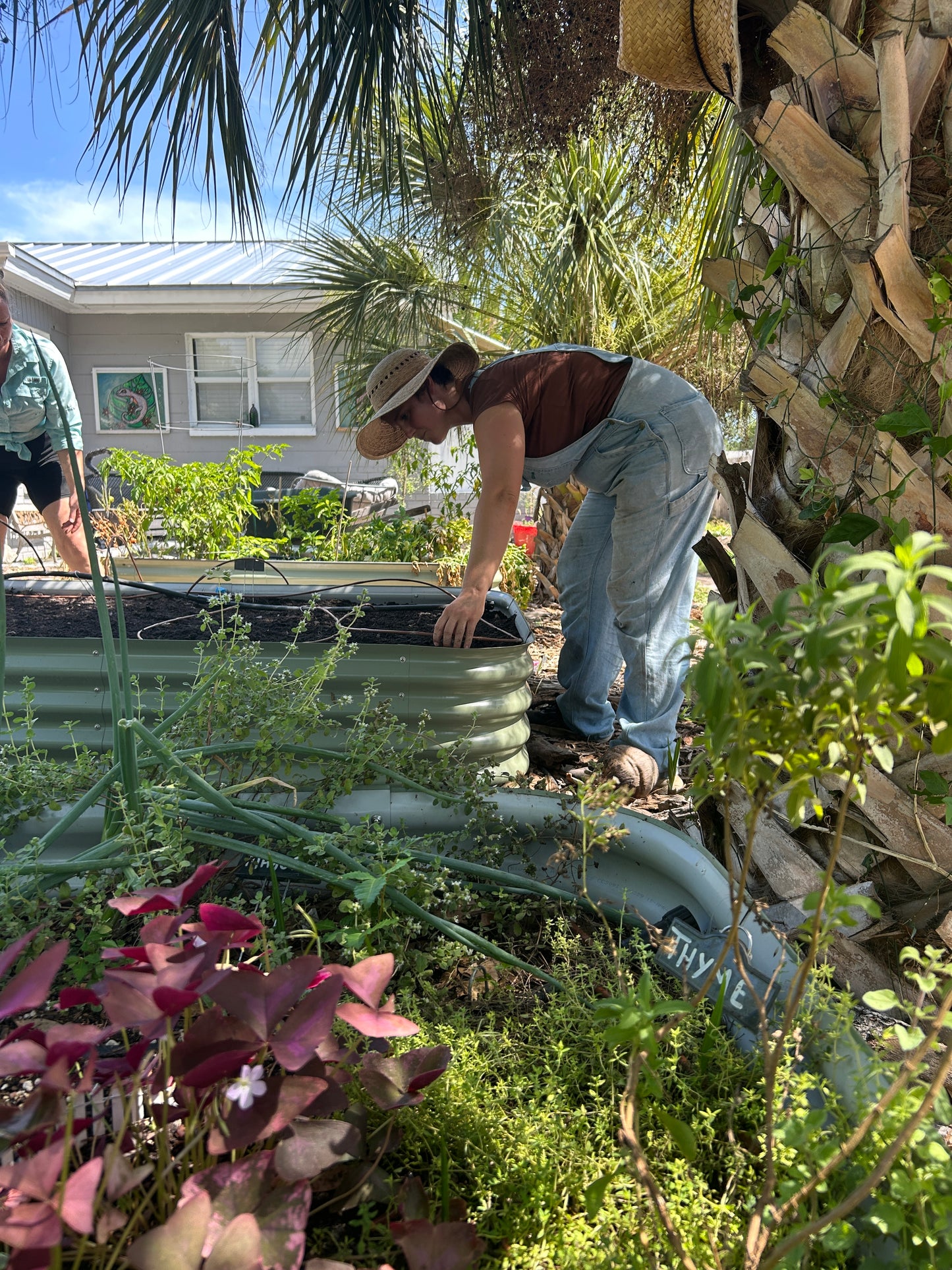 6/13/26 Prep Your Summer Garden for an Easy, Healthy Growing Season