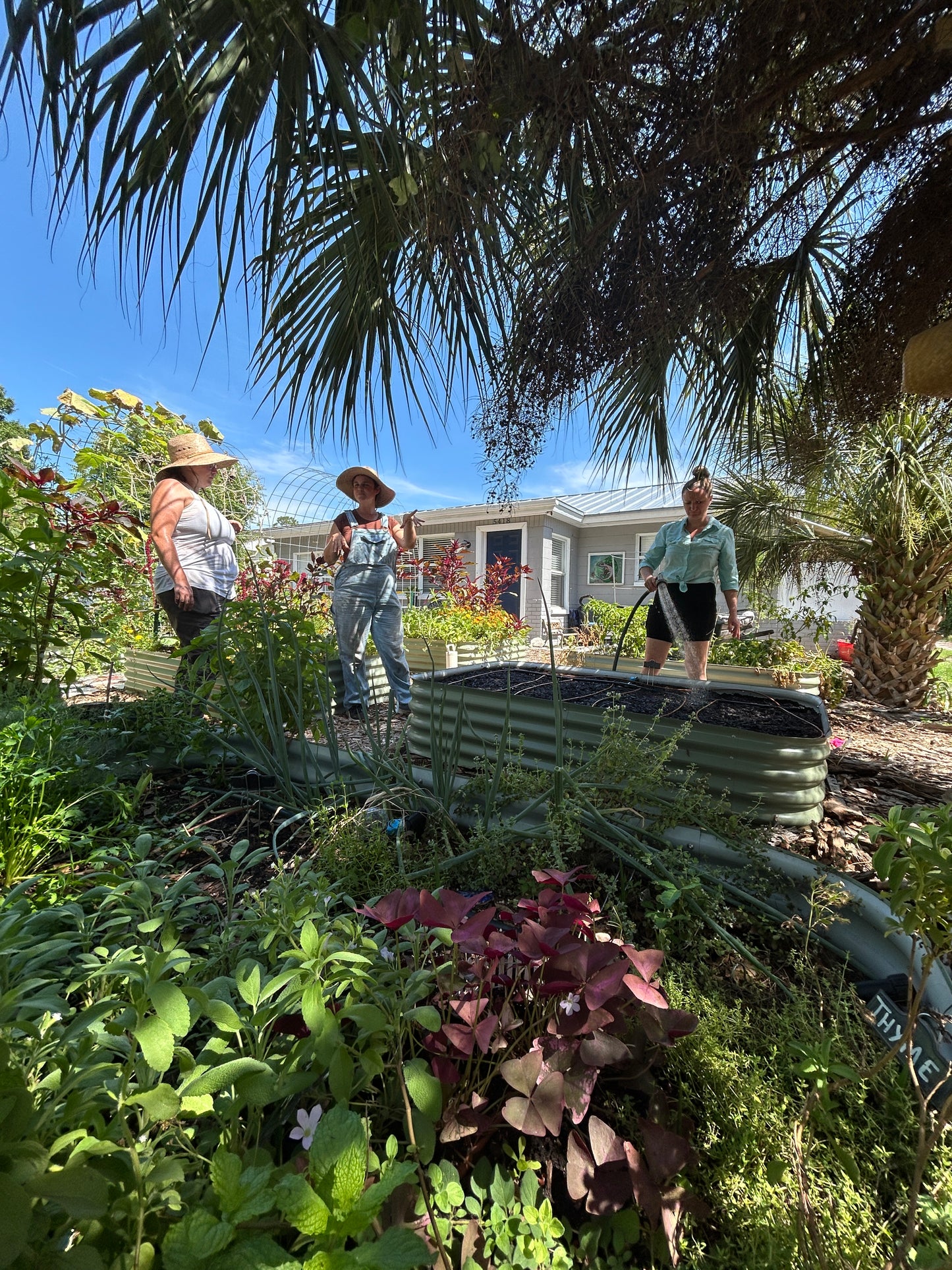 6/13/26 Prep Your Summer Garden for an Easy, Healthy Growing Season