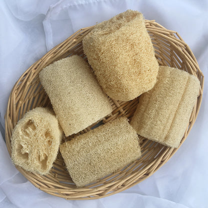 Luffa - Homestead Variety (4" pot)