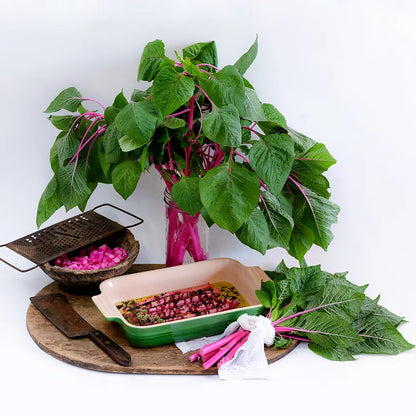 Amaranth (Callaloo) - Pink Beauty (4" pot)