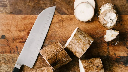 Cassava (Yuca)- Togo (1 Gal Pot)
