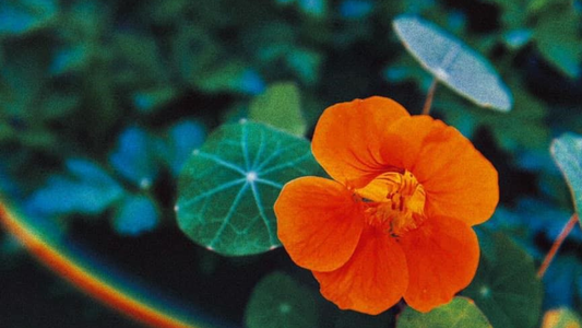 Create Your Own Sustainable Personal Economy