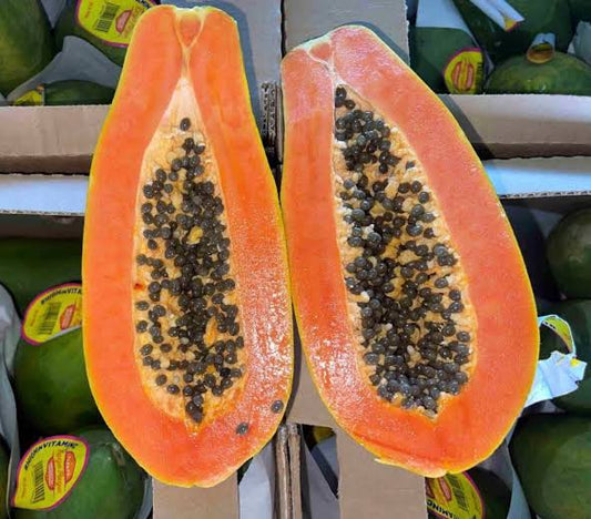 Papaya - Tainung