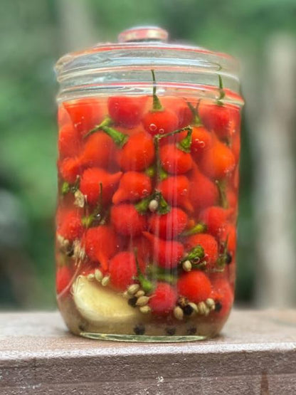 Pepper, Sweet - Red Biquinho