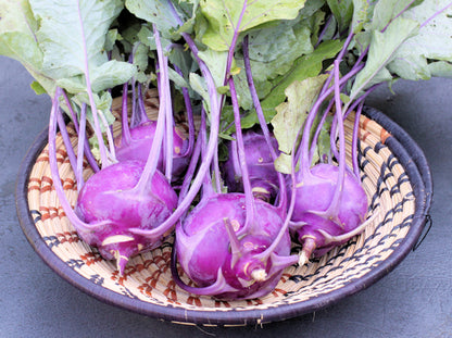 Kohlrabi - Early Purple Vienna