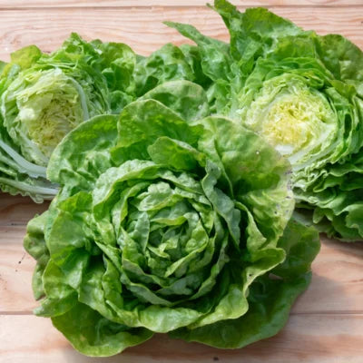 Lettuce - Anuenue