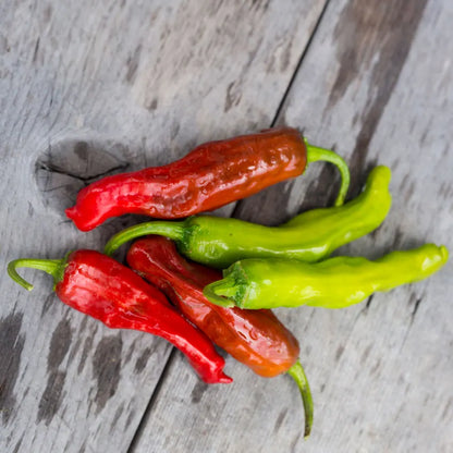 Pepper - Shishito (4" pot)