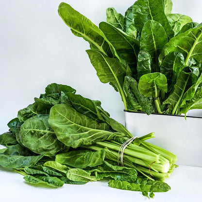 Swiss Chard - Perpetual Spinach (4" Pot)