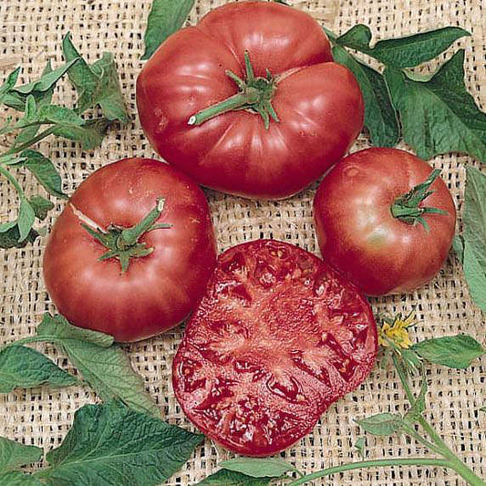 Tomato - Brandywine